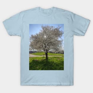 White Cherry Blossom T-Shirt